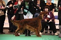 Crufts2011 817